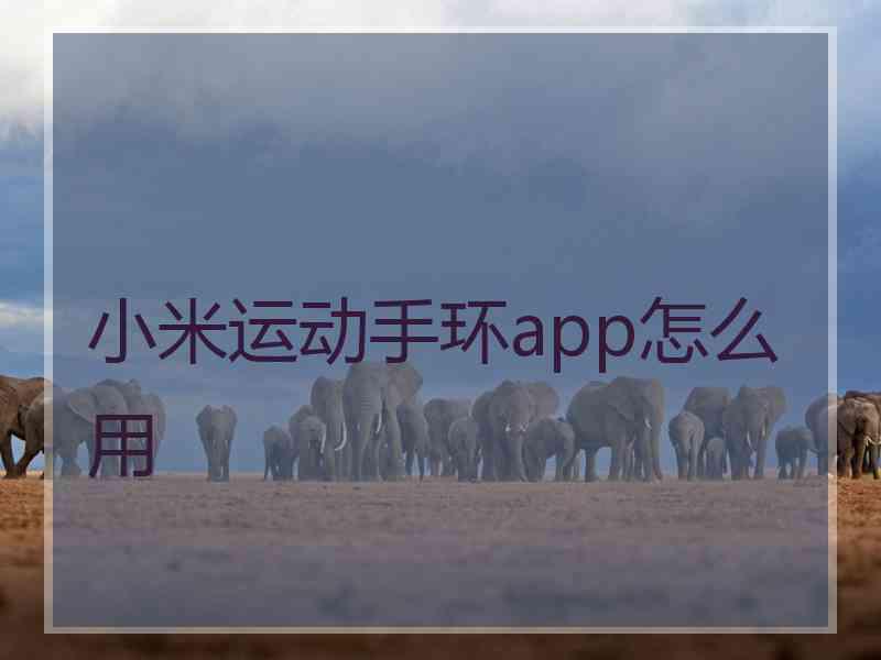 小米运动手环app怎么用