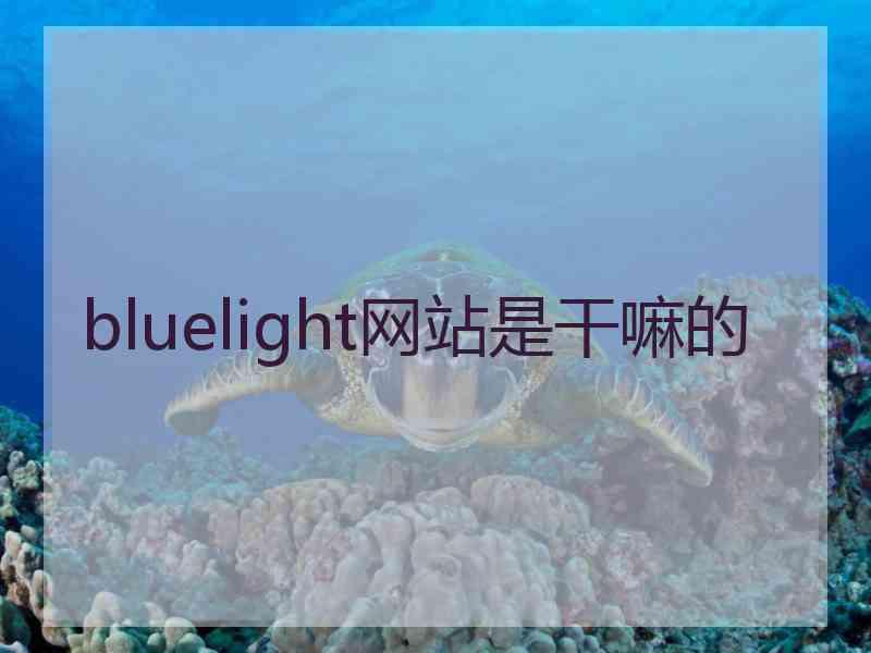 bluelight网站是干嘛的