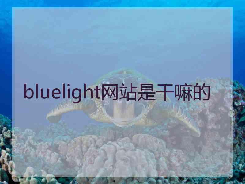 bluelight网站是干嘛的