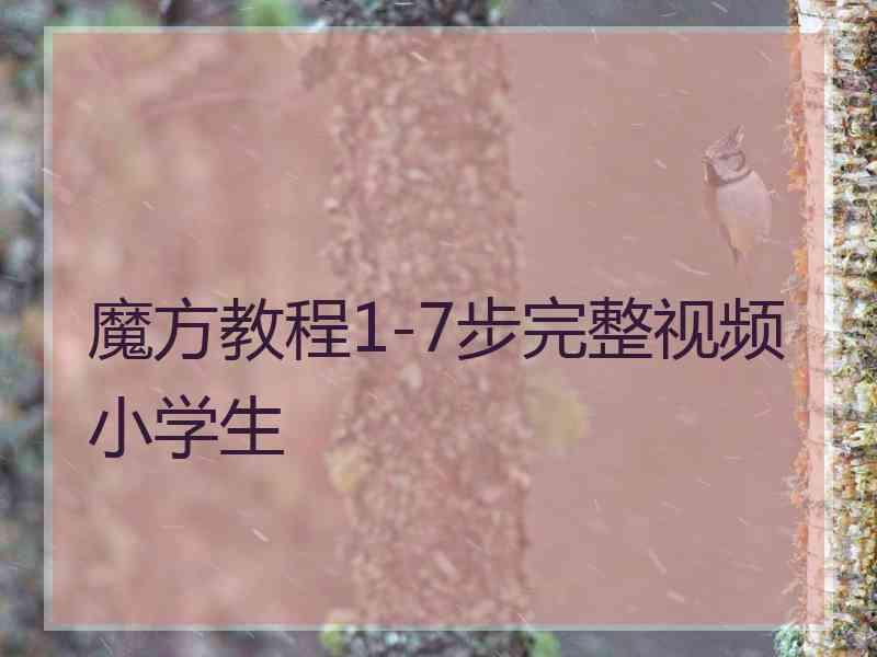 魔方教程1-7步完整视频小学生