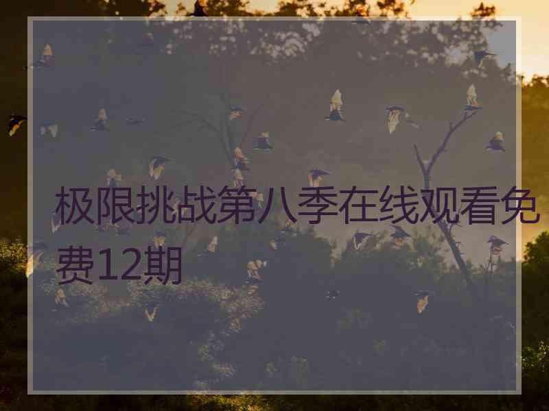 极限挑战第八季在线观看免费12期