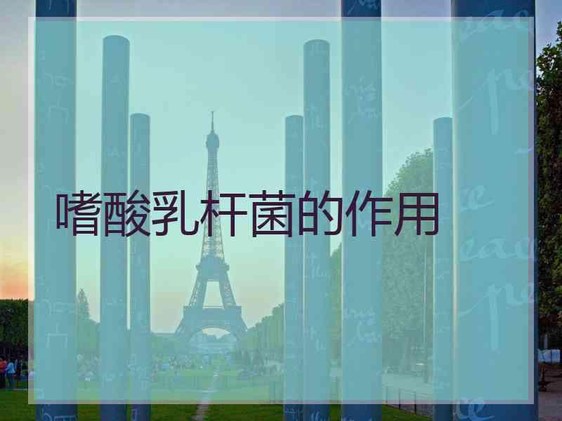 嗜酸乳杆菌的作用