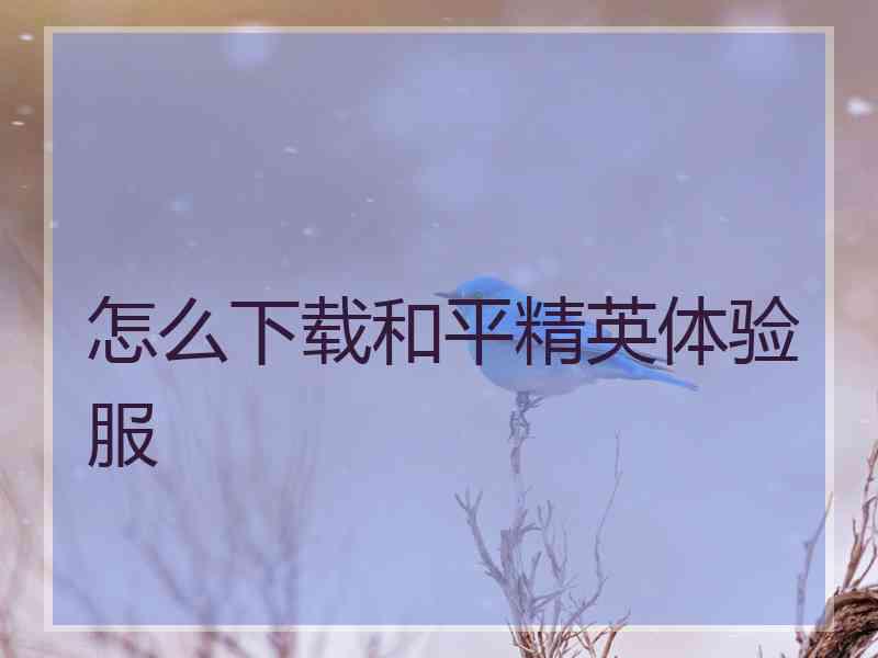 怎么下载和平精英体验服