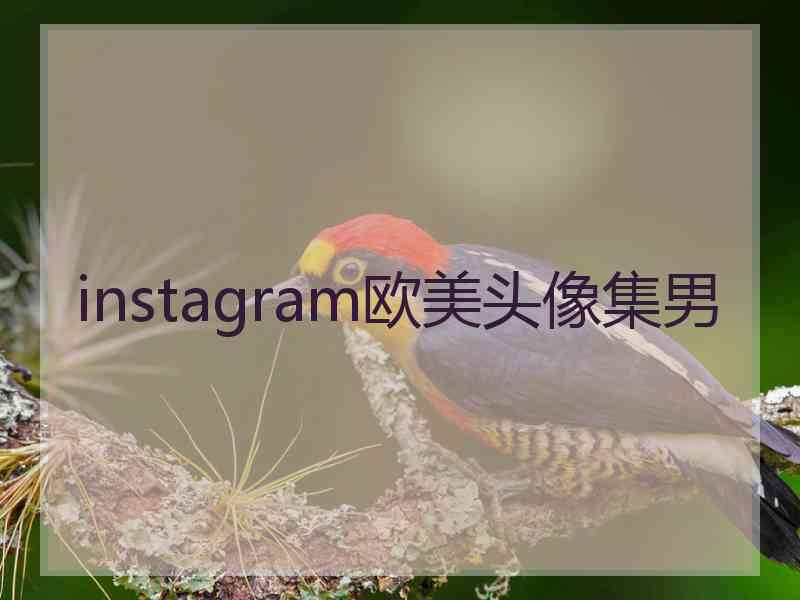 instagram欧美头像集男