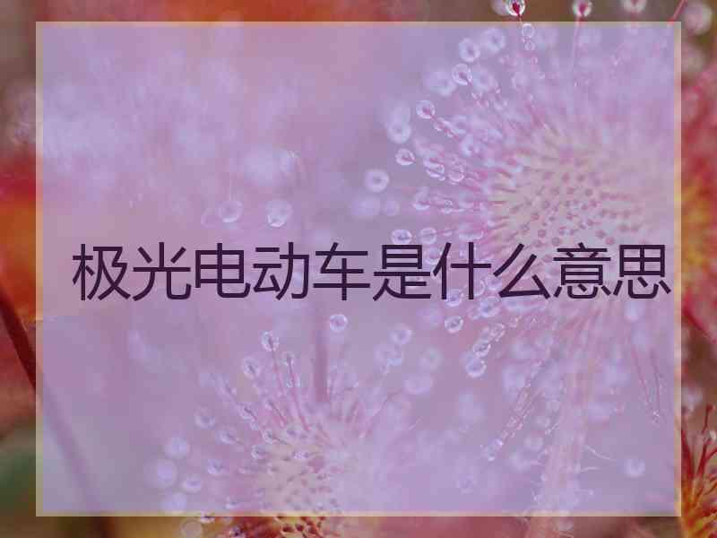 极光电动车是什么意思