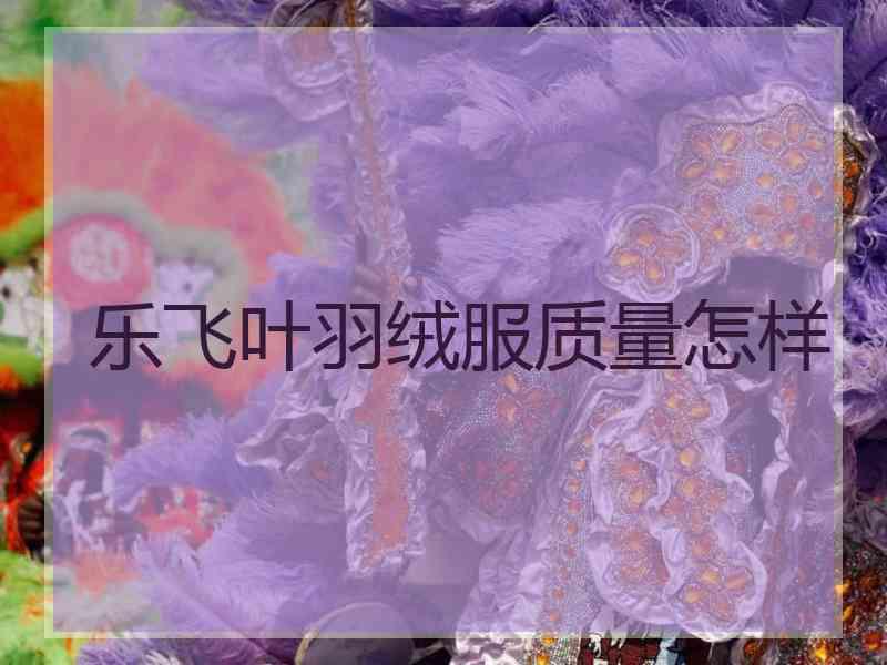乐飞叶羽绒服质量怎样