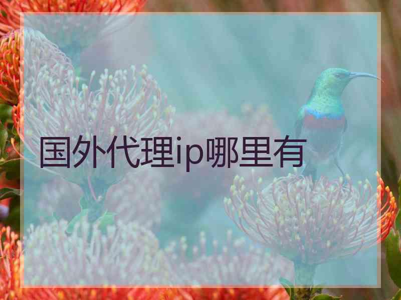 国外代理ip哪里有