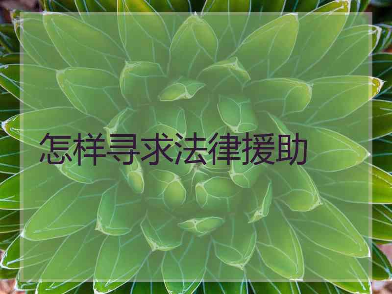 怎样寻求法律援助