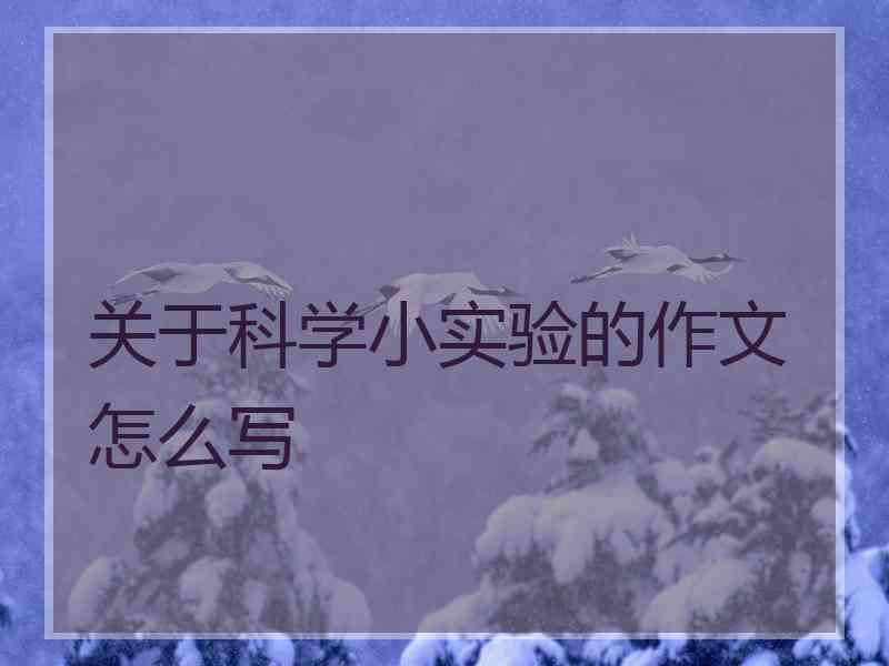 关于科学小实验的作文怎么写