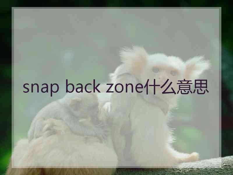 snap back zone什么意思