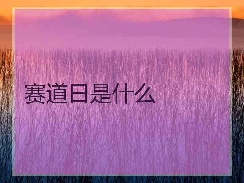 赛道日是什么