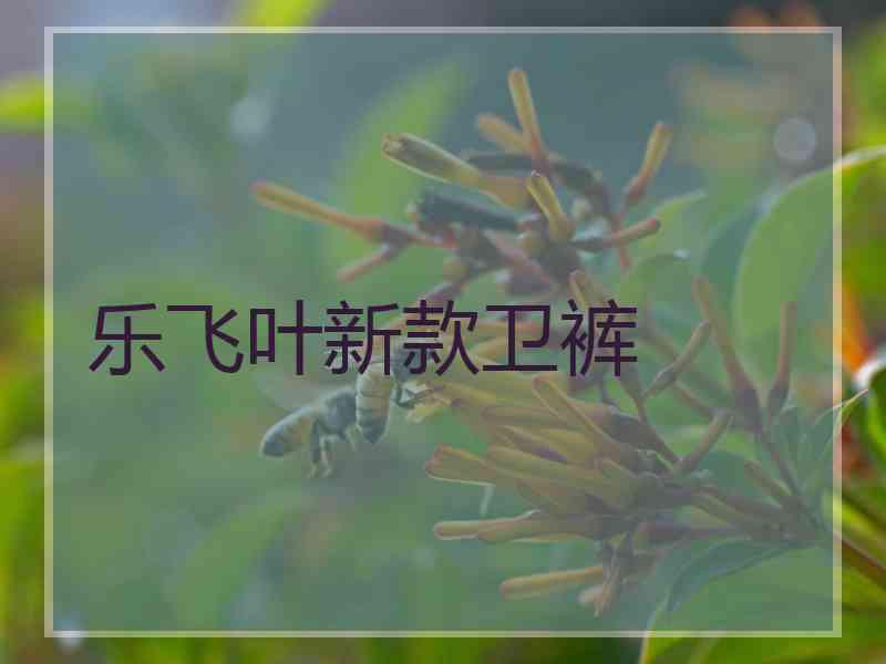 乐飞叶新款卫裤
