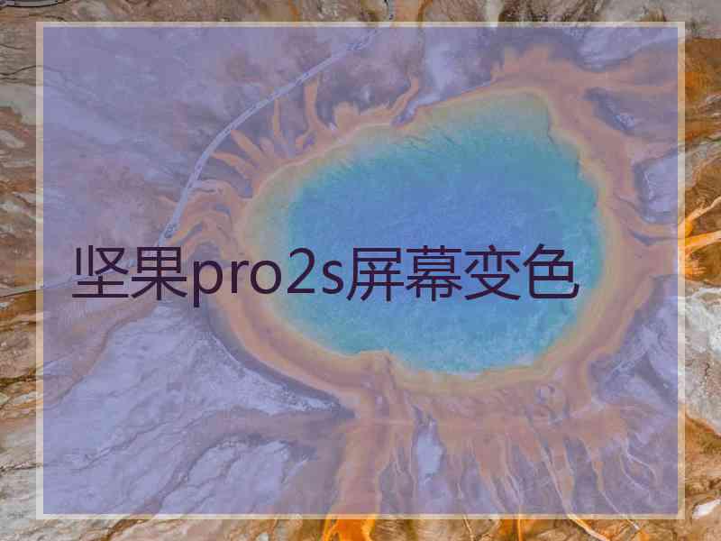 坚果pro2s屏幕变色