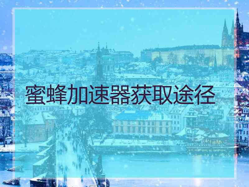 蜜蜂加速器获取途径