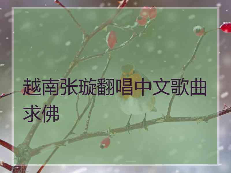 越南张璇翻唱中文歌曲求佛