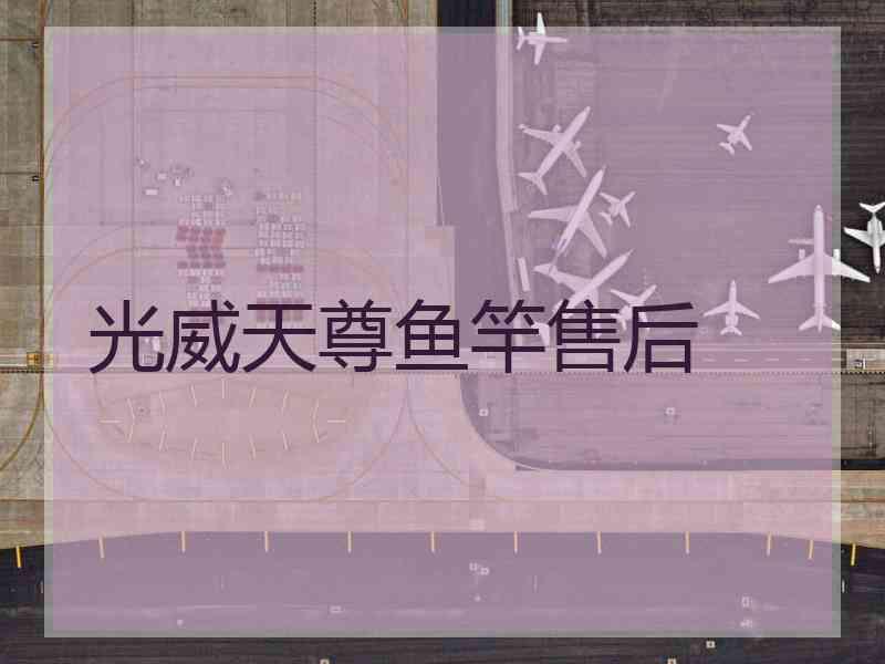 光威天尊鱼竿售后