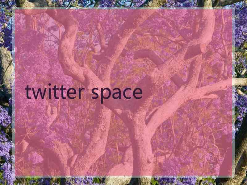 twitter space