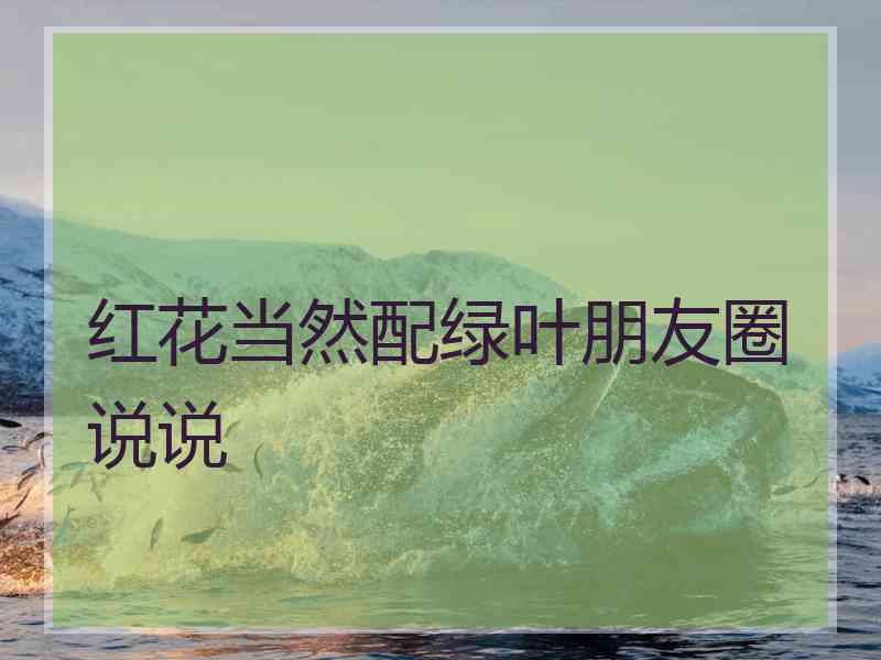 红花当然配绿叶朋友圈说说
