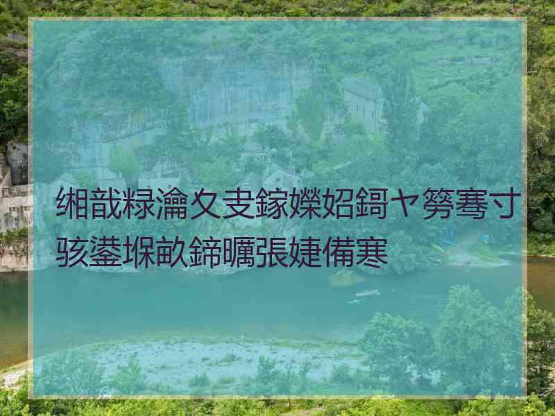 缃戠粶瀹夊叏鎵嬫妱鎶ヤ簩骞寸骇鍙堢畝鍗曞張婕備寒