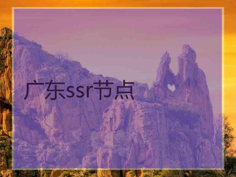 广东ssr节点