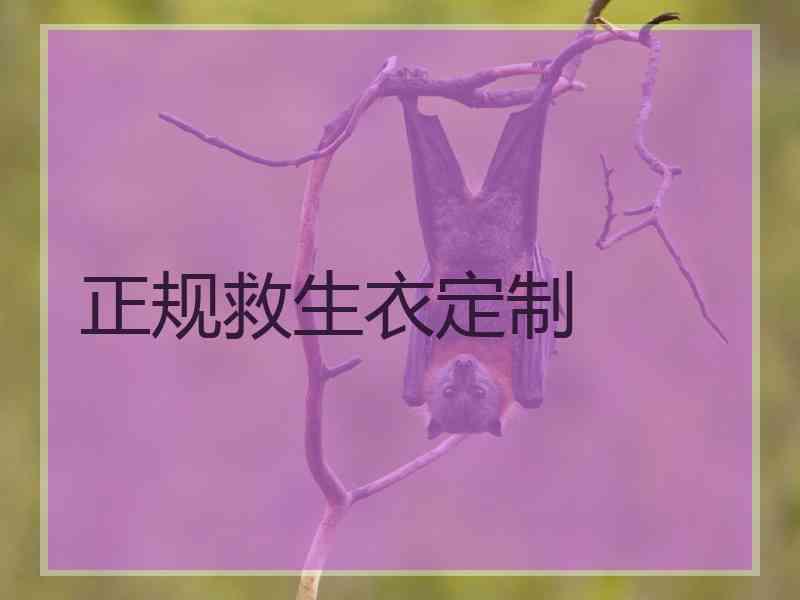 正规救生衣定制