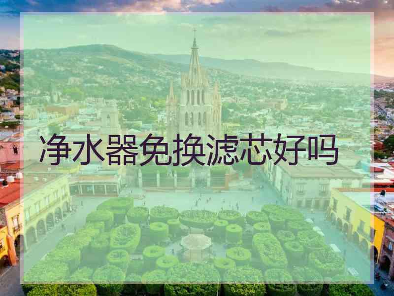 净水器免换滤芯好吗