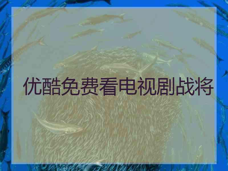 优酷免费看电视剧战将