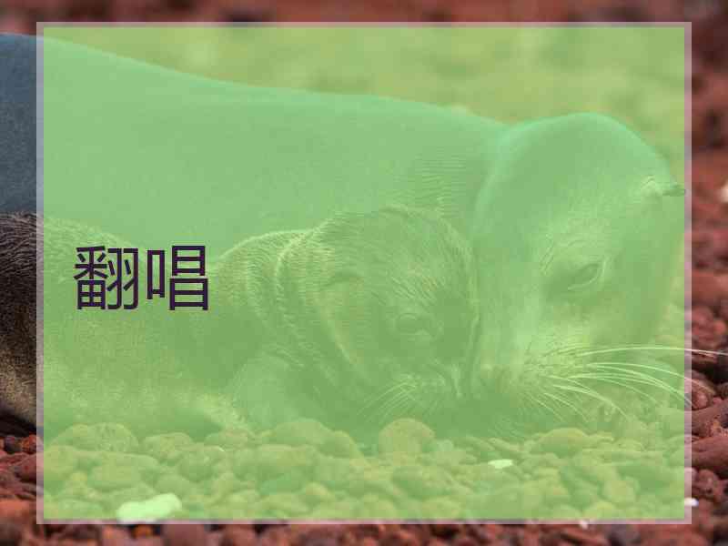 翻唱