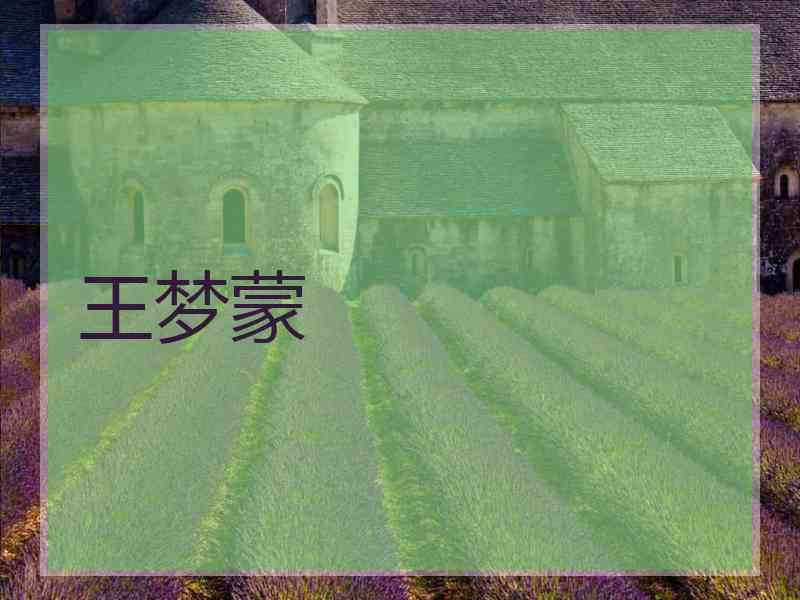 王梦蒙