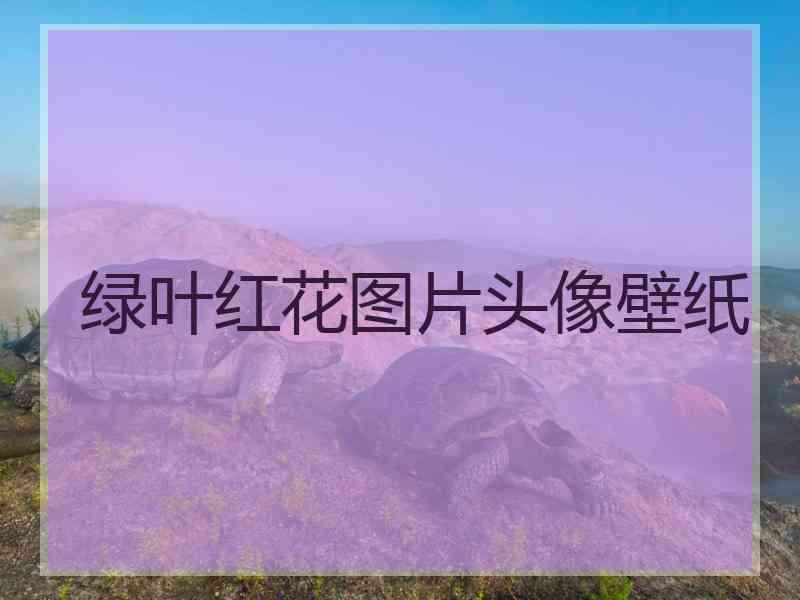 绿叶红花图片头像壁纸