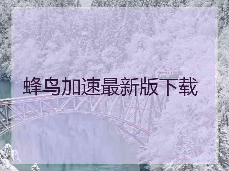 蜂鸟加速最新版下载