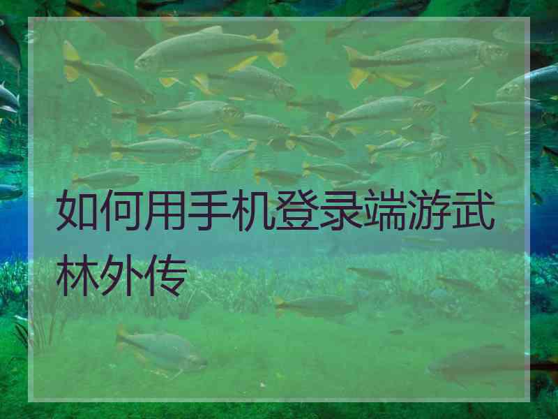 如何用手机登录端游武林外传