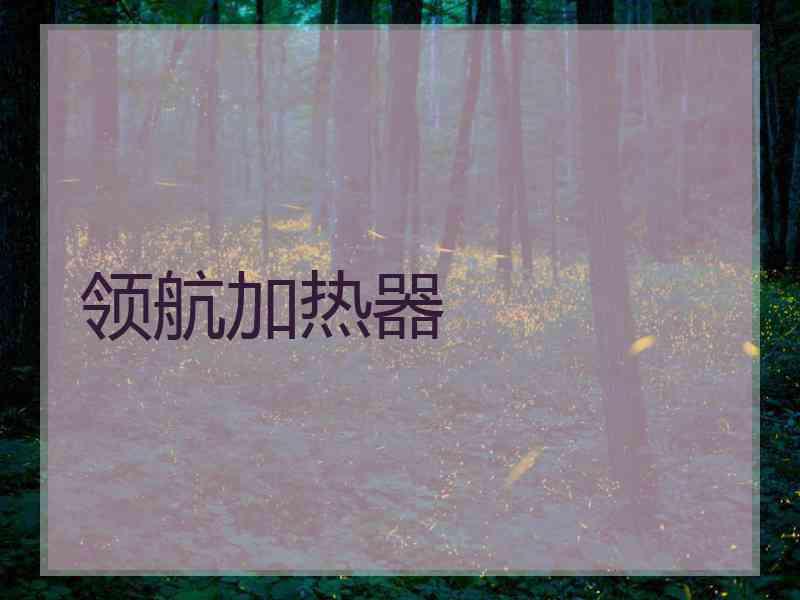 领航加热器