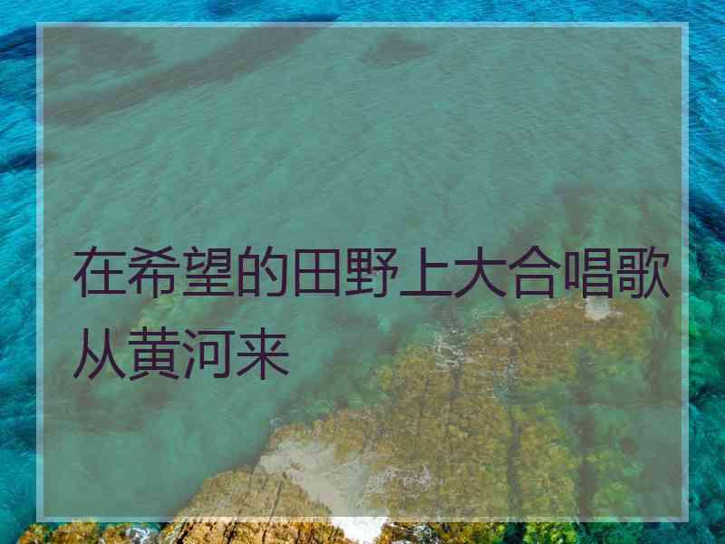 在希望的田野上大合唱歌从黄河来