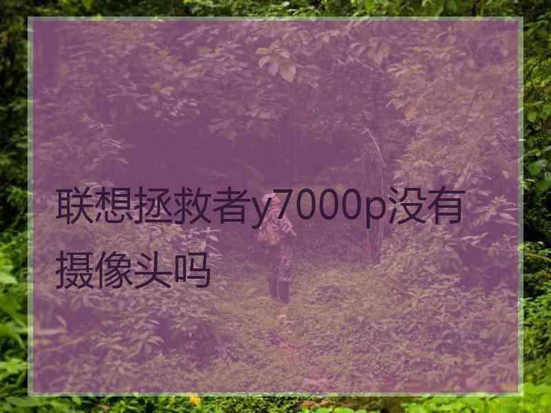 联想拯救者y7000p没有摄像头吗