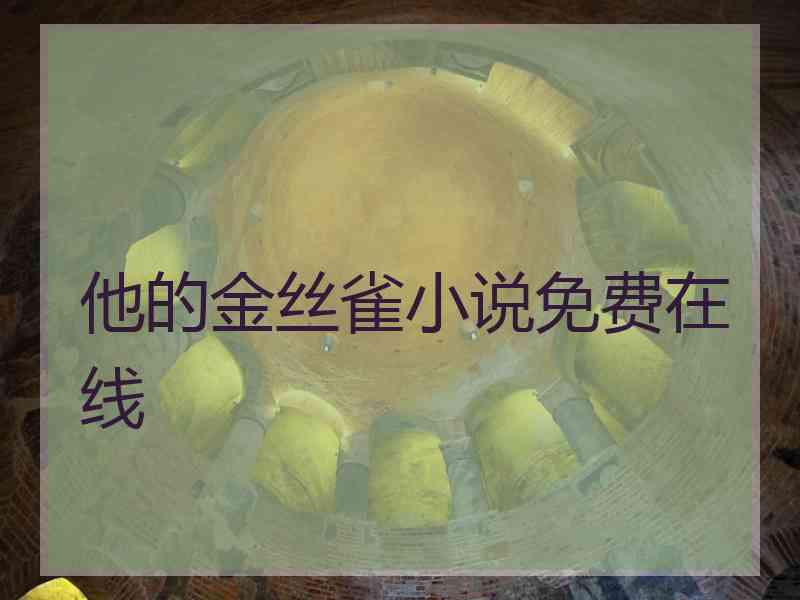 他的金丝雀小说免费在线