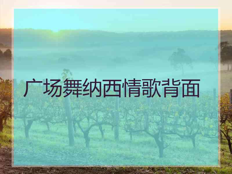 广场舞纳西情歌背面