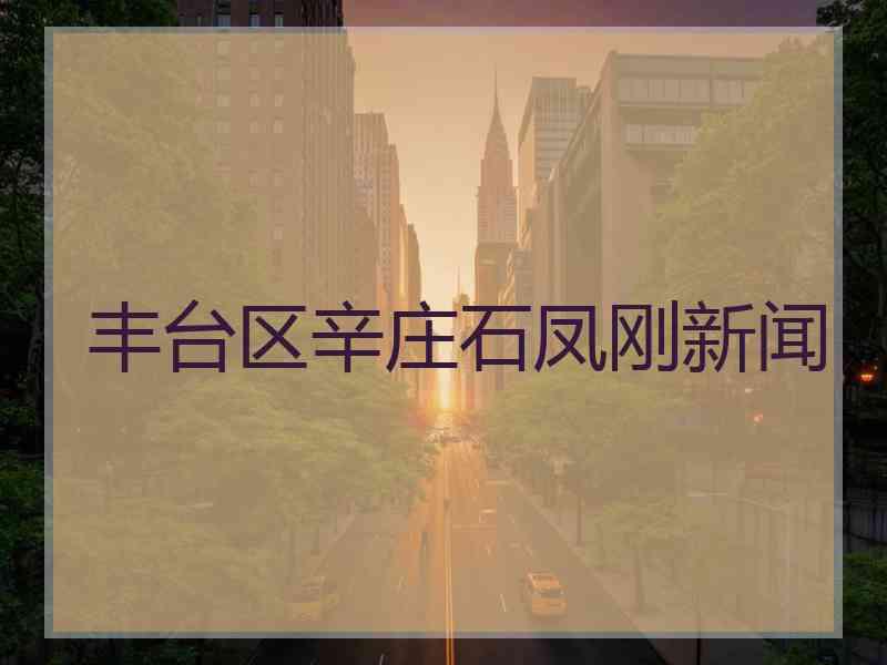 丰台区辛庄石凤刚新闻