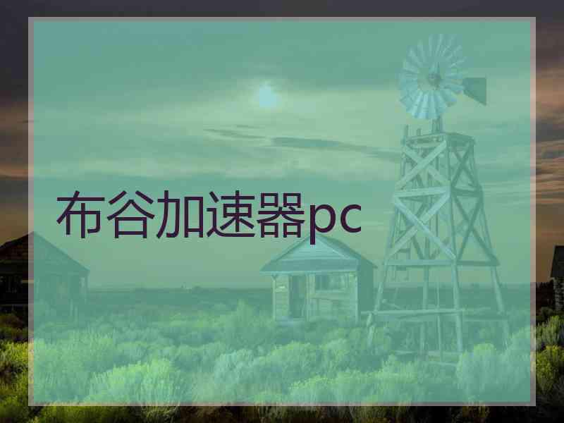 布谷加速器pc