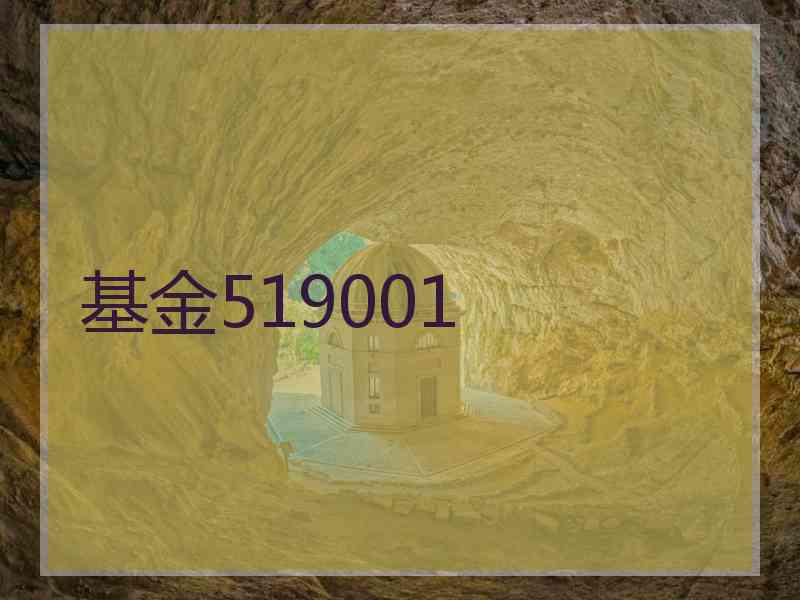 基金519001
