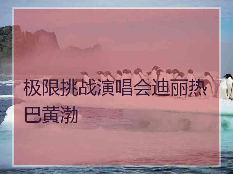 极限挑战演唱会迪丽热巴黄渤