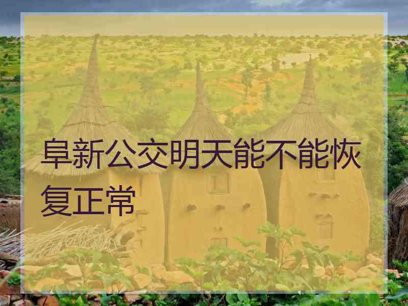 阜新公交明天能不能恢复正常