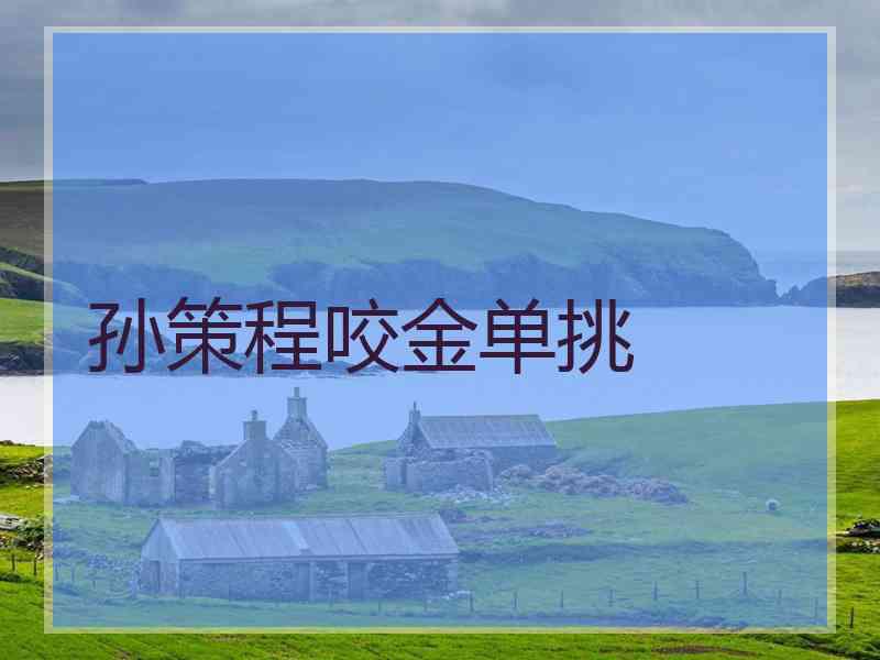 孙策程咬金单挑