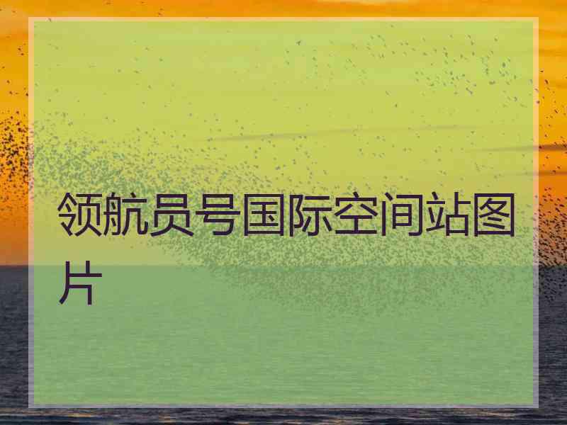 领航员号国际空间站图片