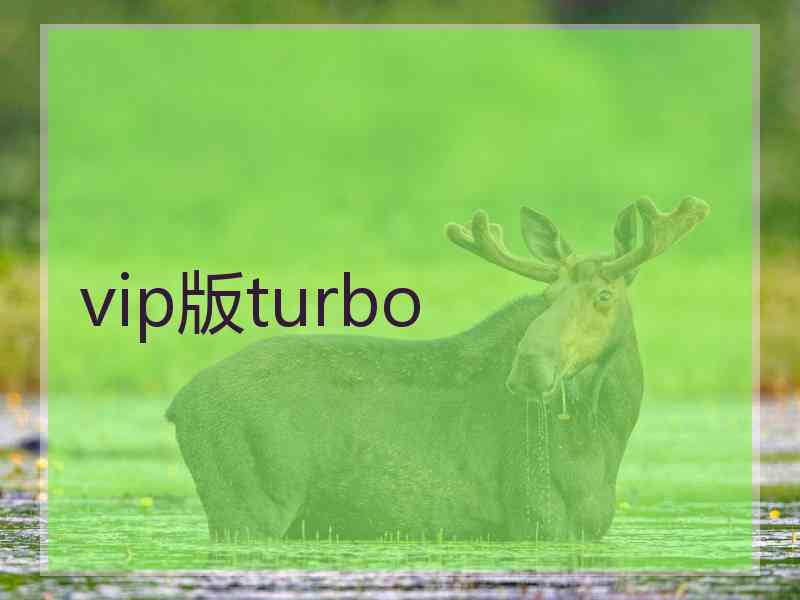 vip版turbo