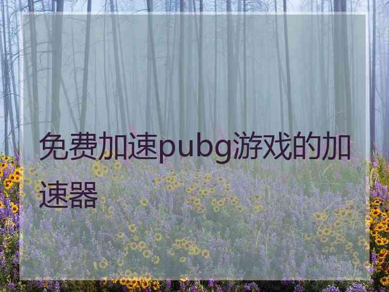 免费加速pubg游戏的加速器