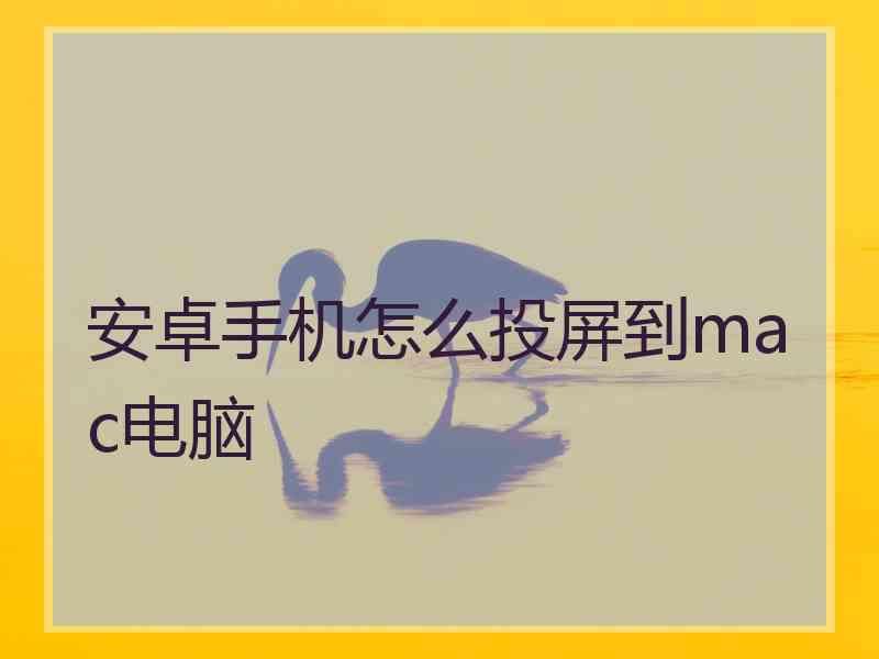 安卓手机怎么投屏到mac电脑