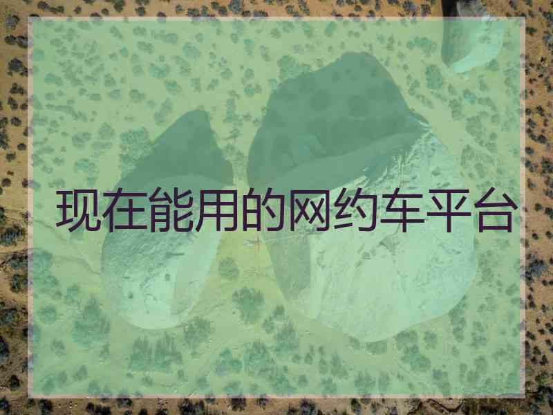 现在能用的网约车平台