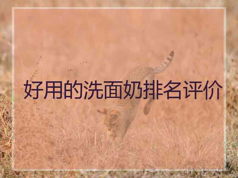 好用的洗面奶排名评价