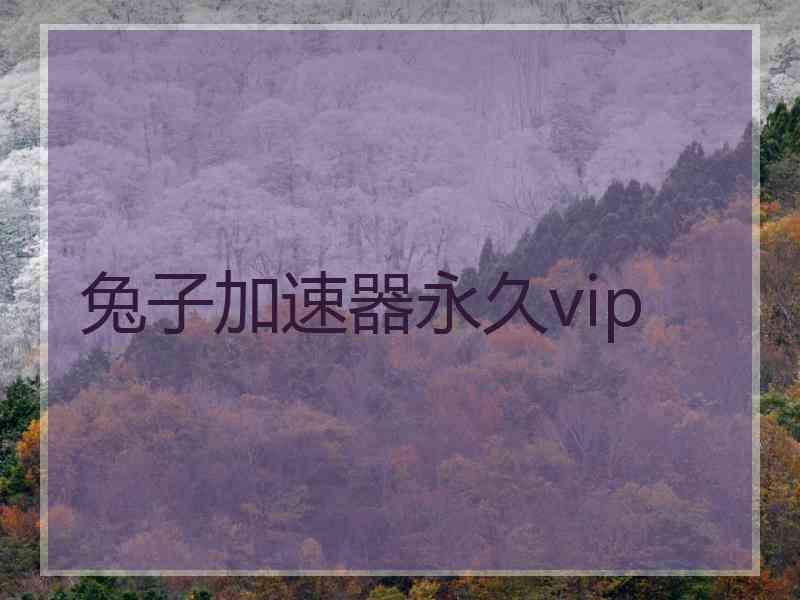 兔子加速器永久vip